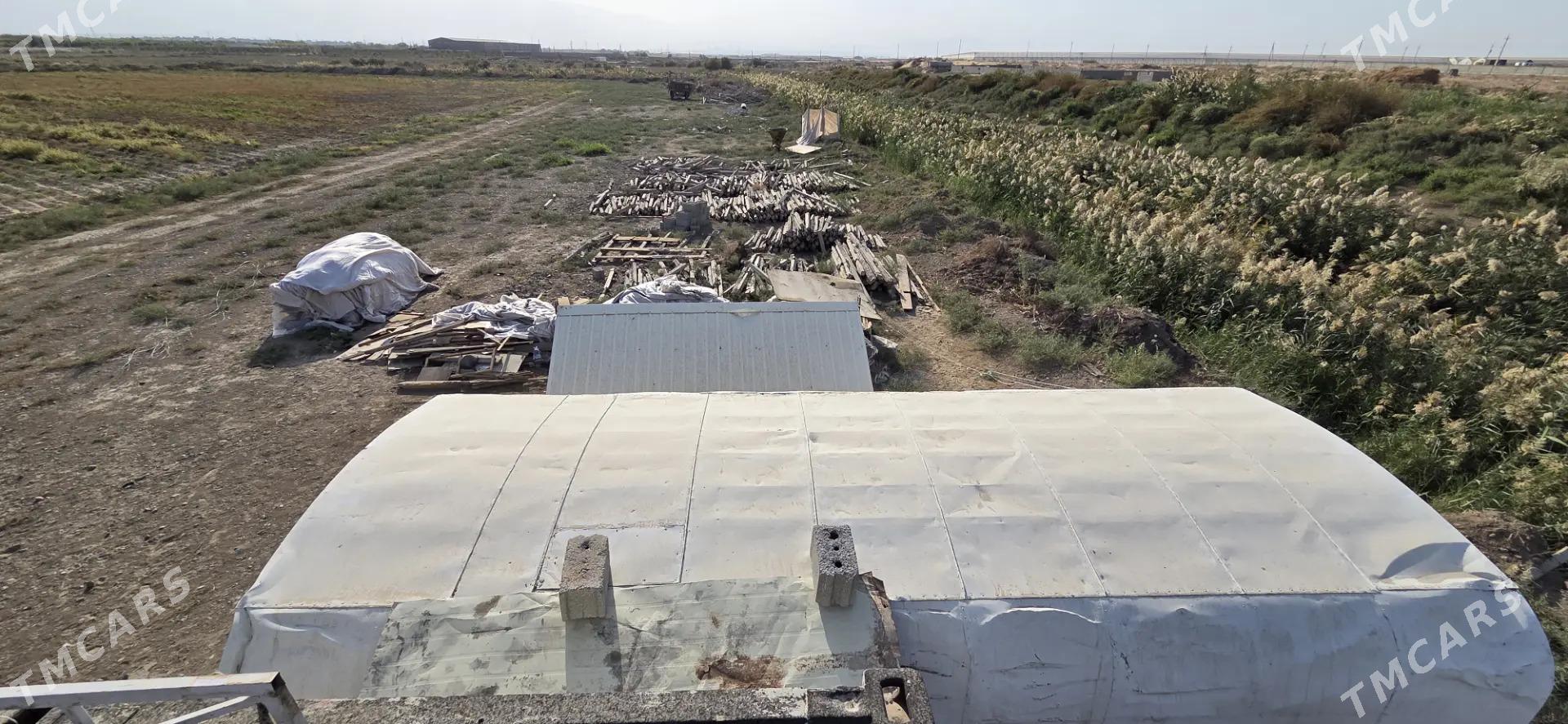 Ekin yer - Ak bugdaý etraby - img 4