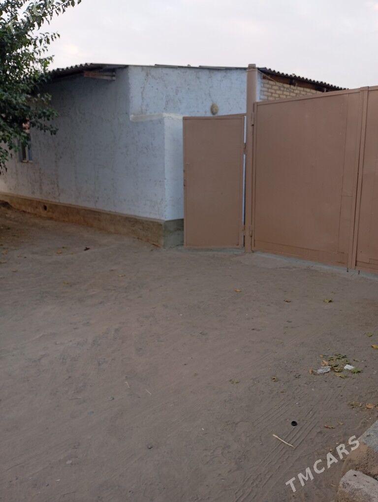 jaý kazaçy - Mary - img 3