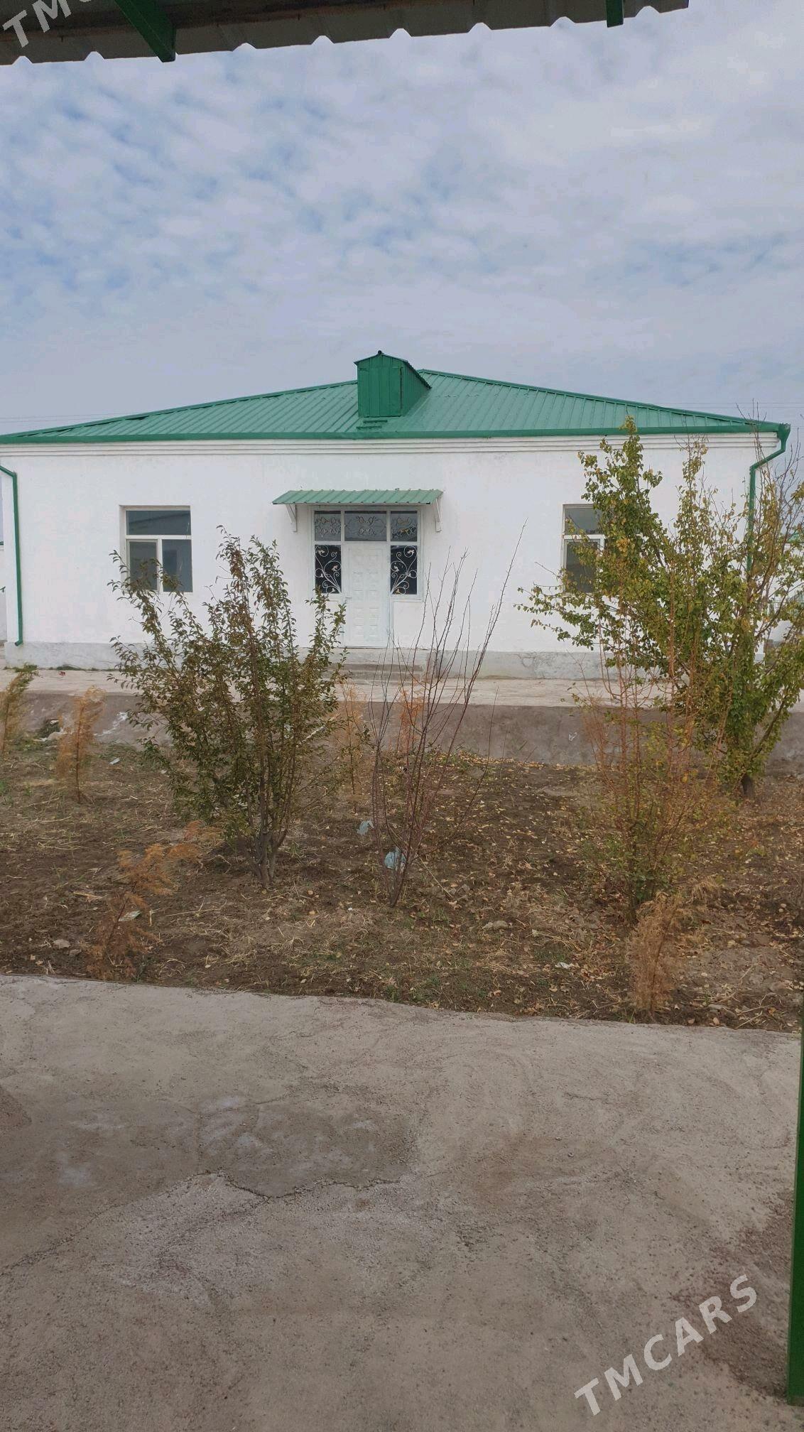 Satlyk jay - Кёнеургенч - img 1