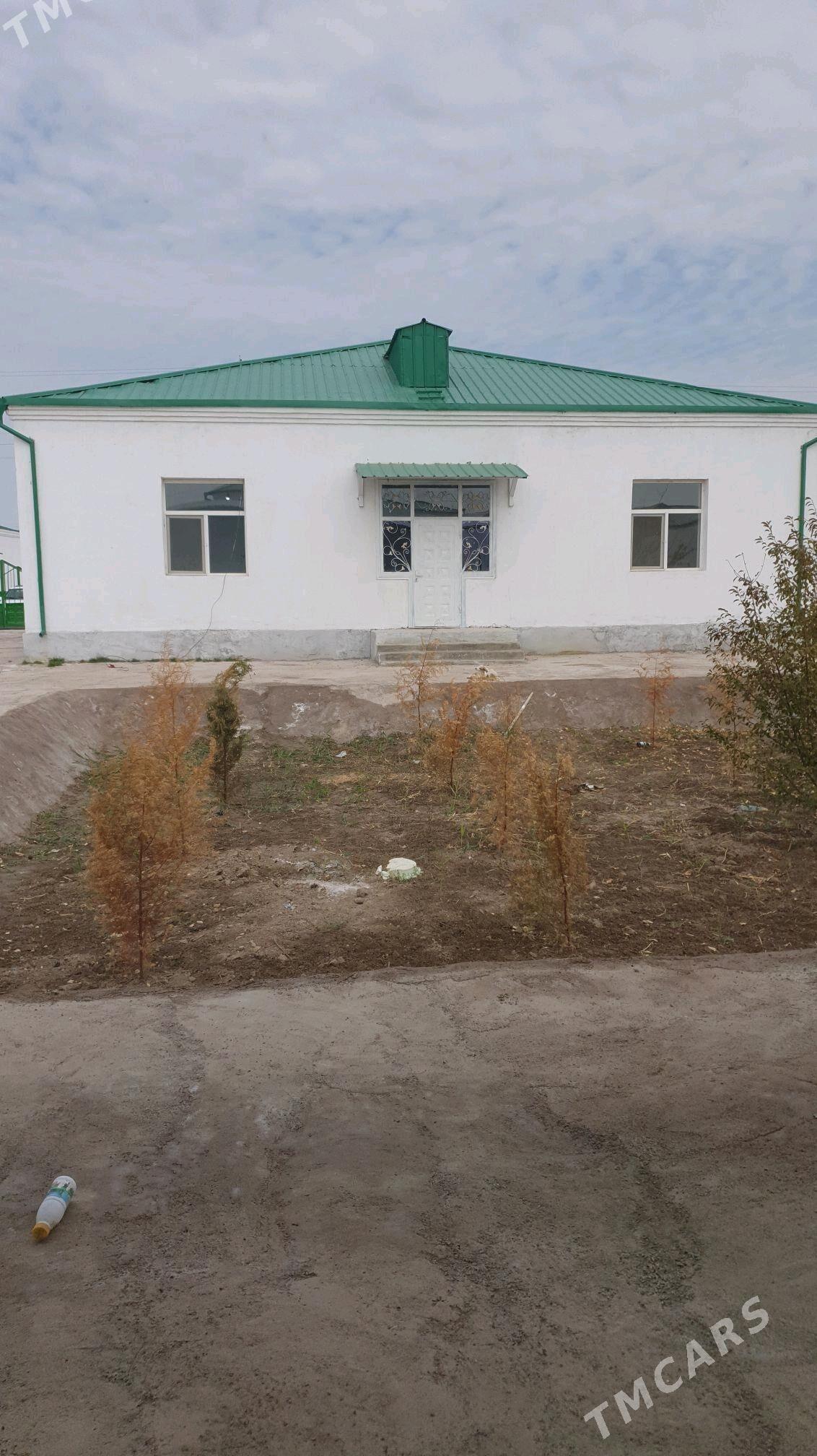 Satlyk jay - Кёнеургенч - img 2