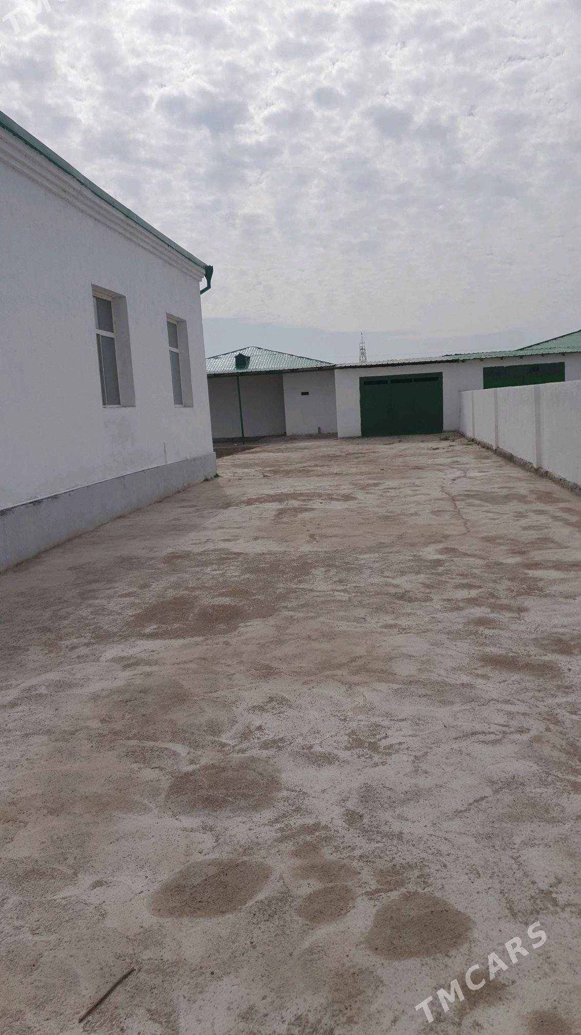 Satlyk jay - Кёнеургенч - img 5