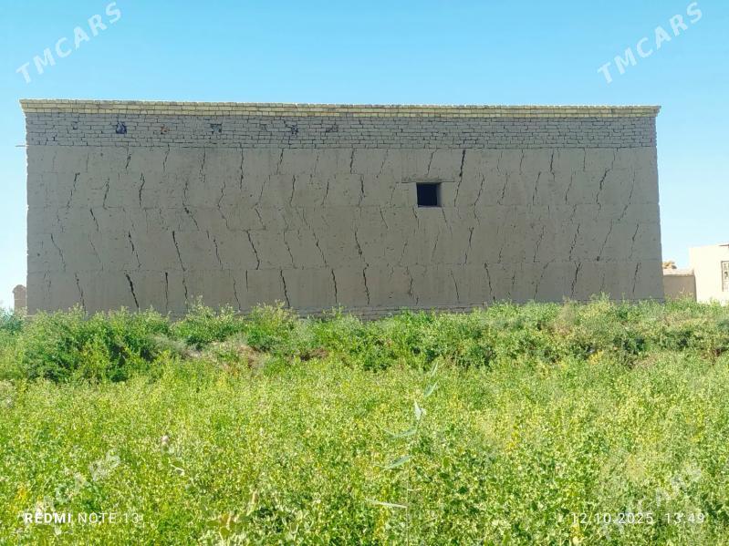 Satlyk jay  Akdepe - Акдепе - img 3