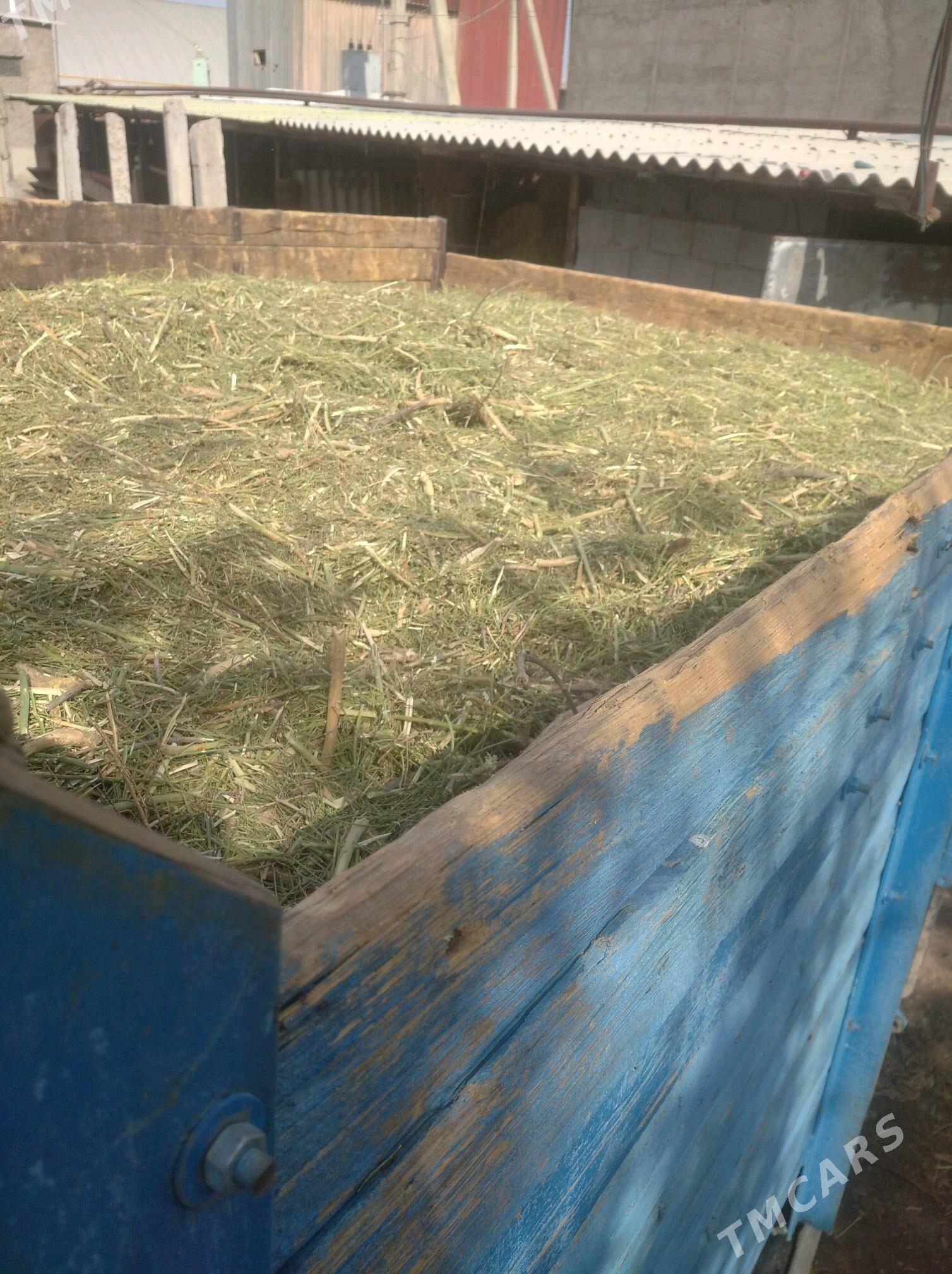 yannak - Gökdepe - img 1