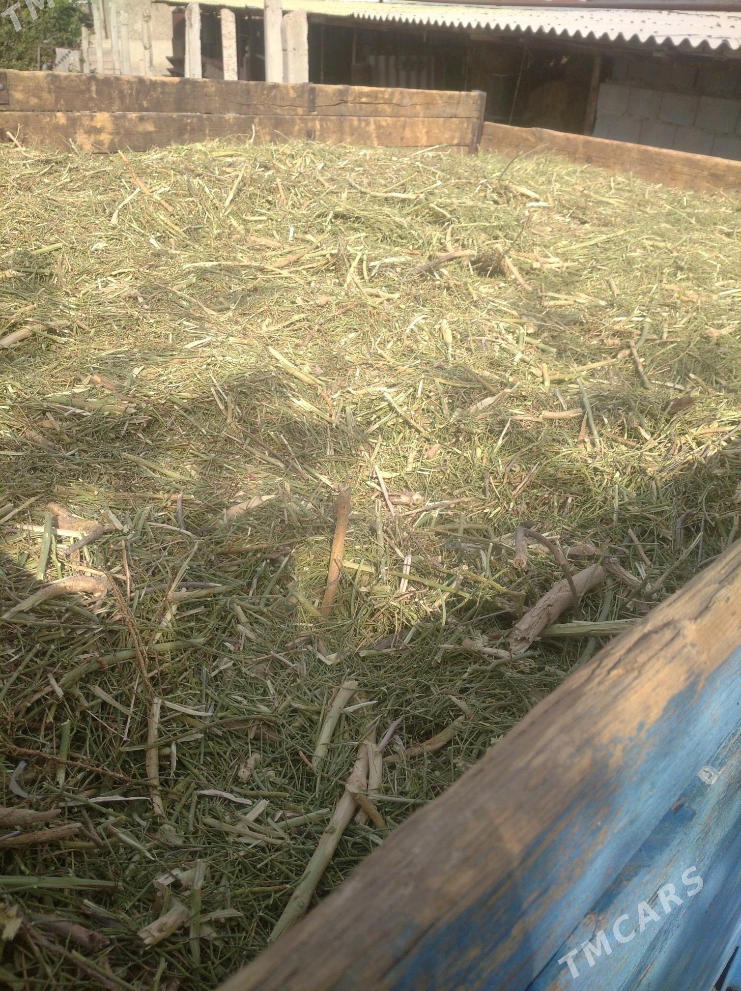 yannak - Gökdepe - img 4