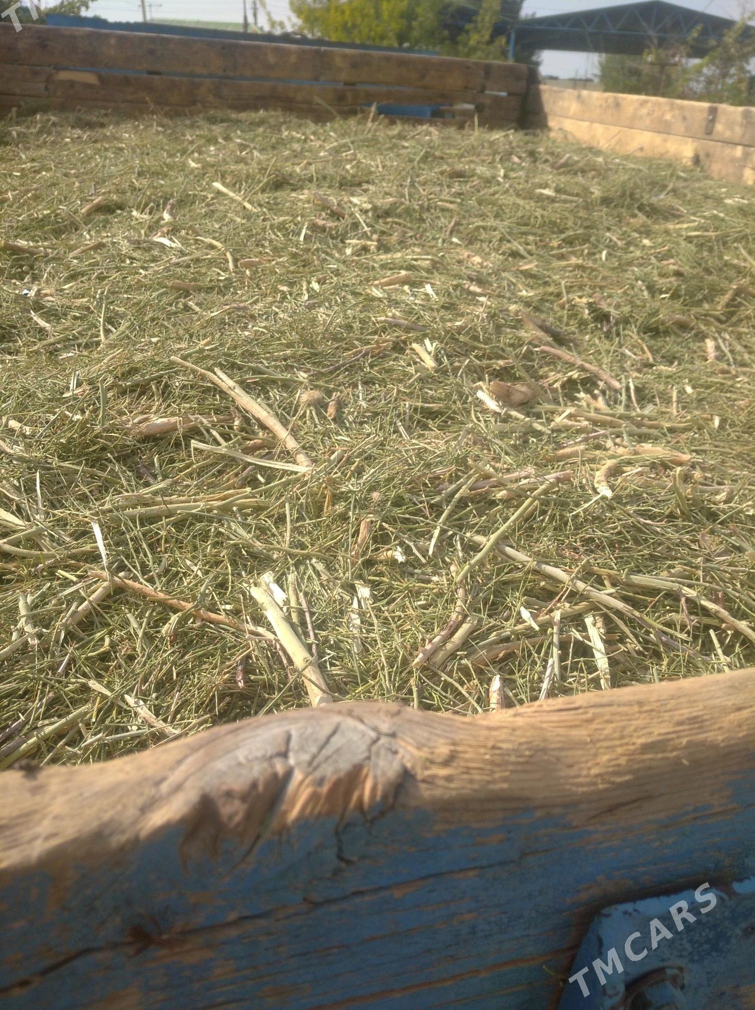 yannak - Gökdepe - img 6