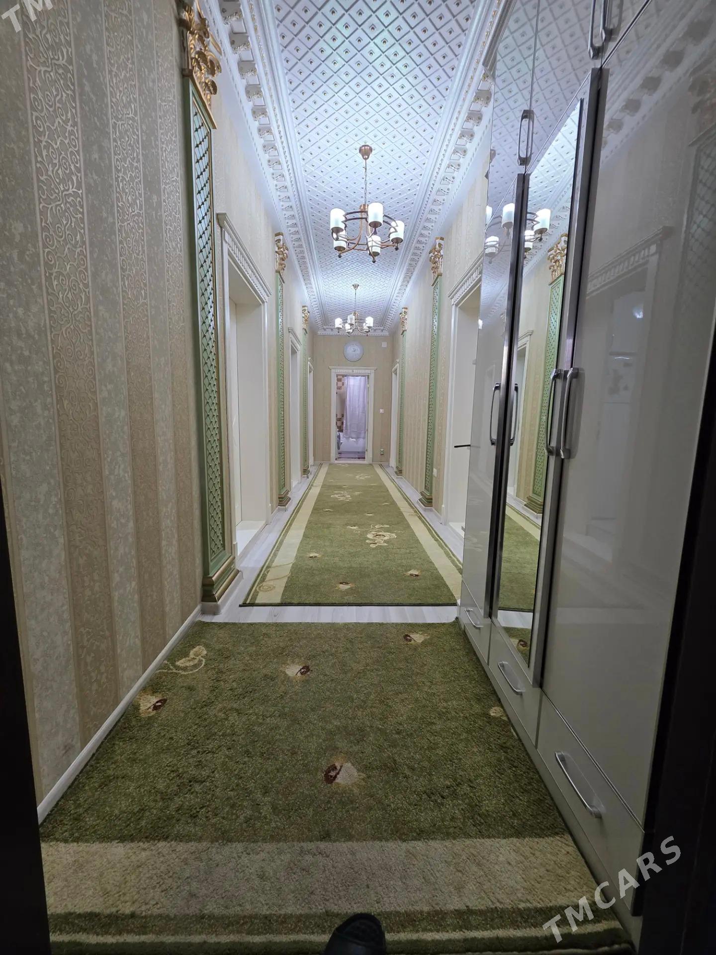 Gàmi plan - Änew - img 8