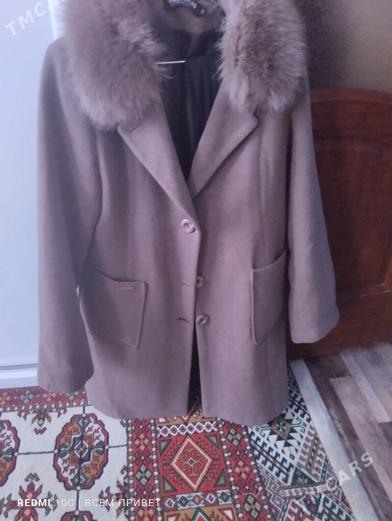palto - Дашогуз - img 2