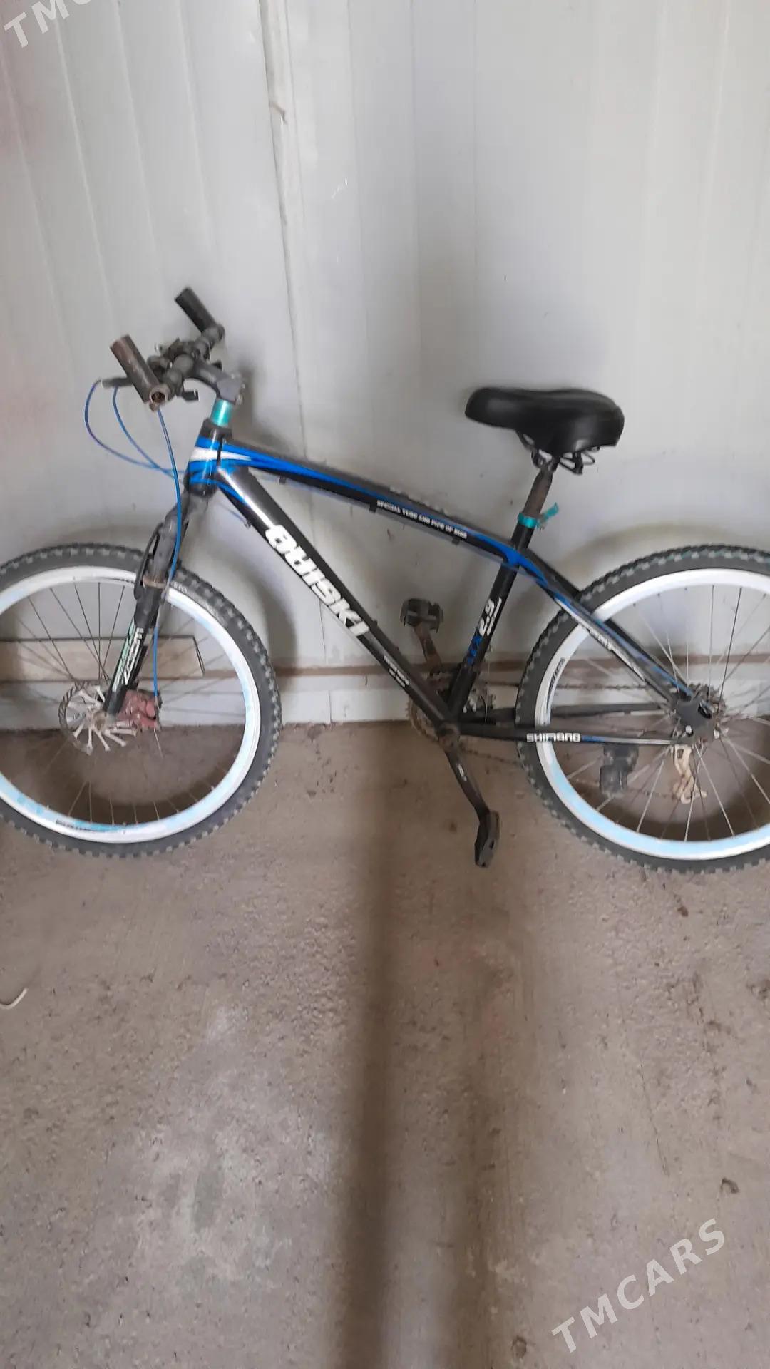 Tigir - Тязе заман - img 2