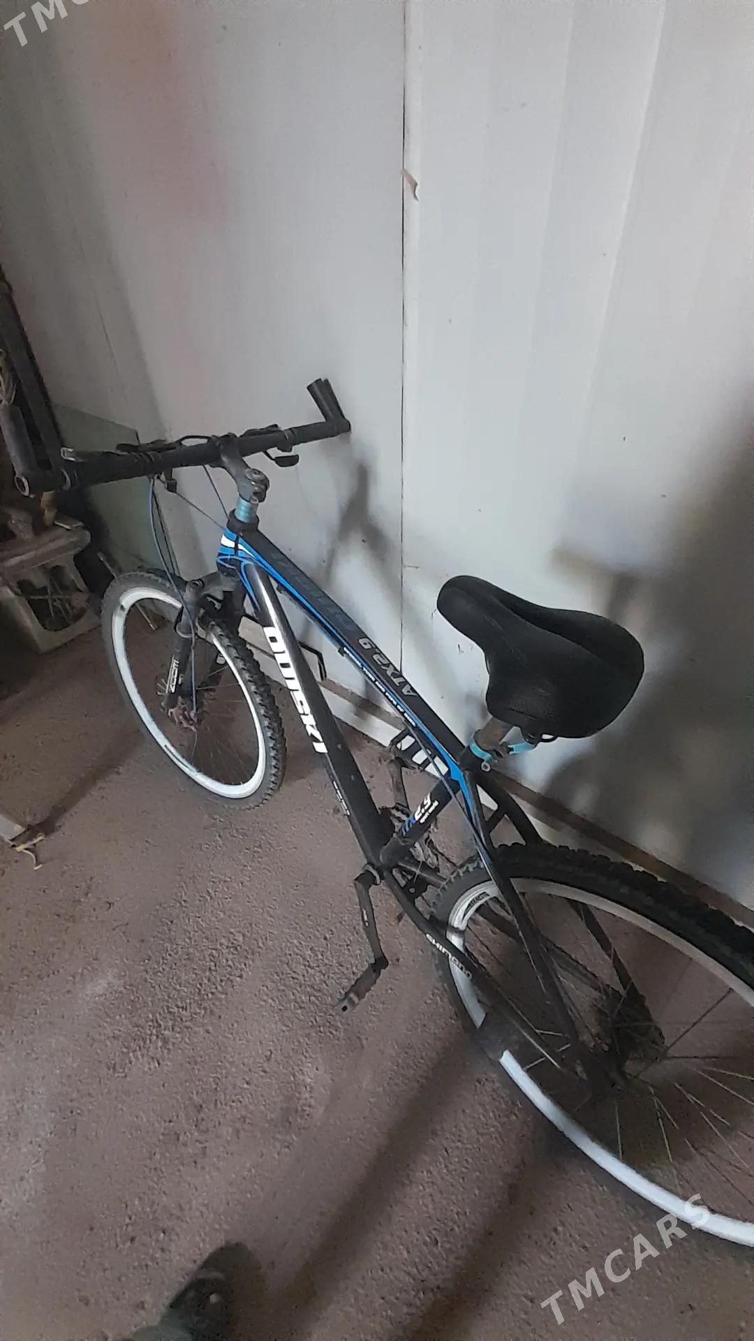 Tigir - Тязе заман - img 3