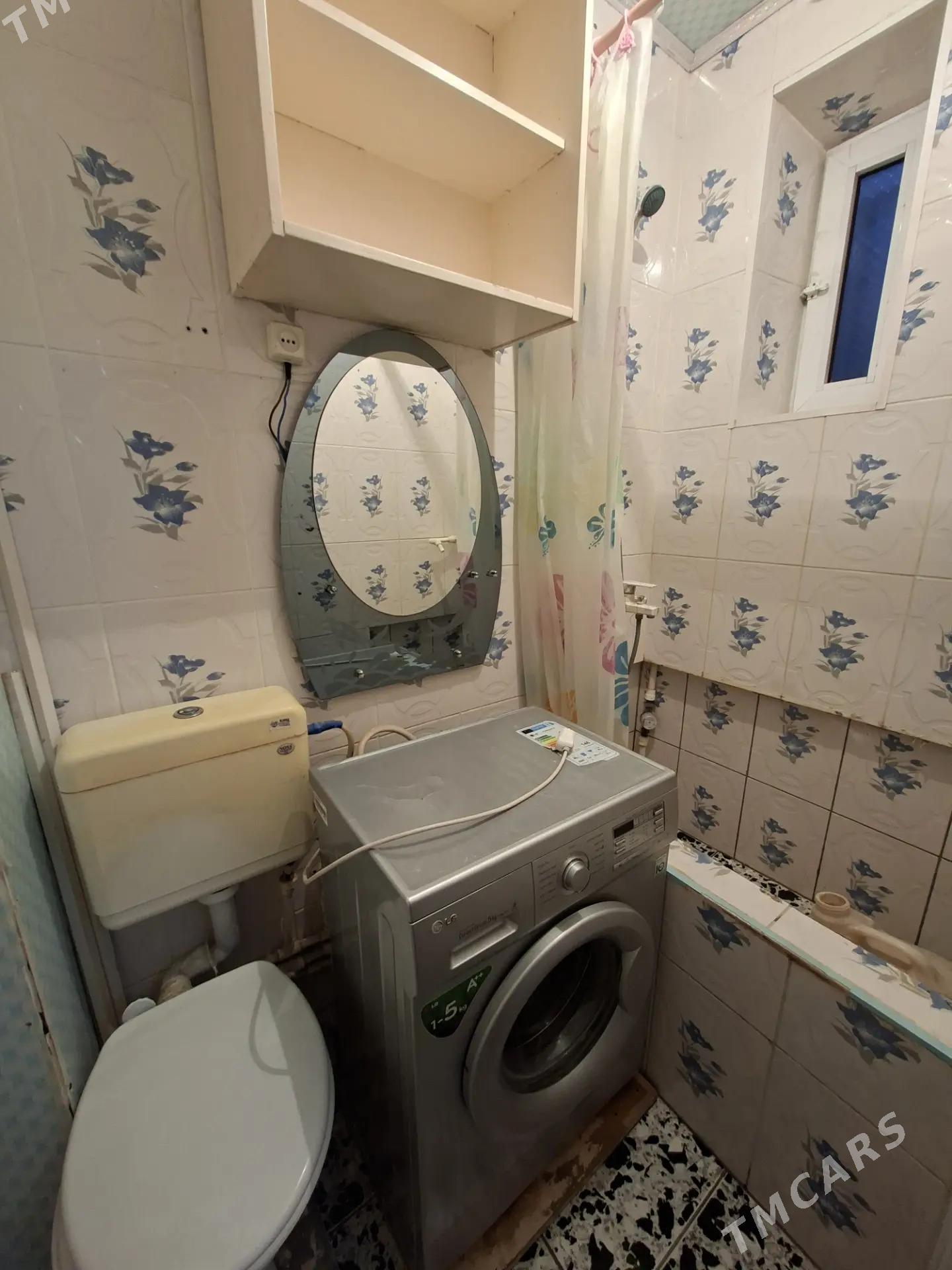 Satlyk jay  - Mary - img 10