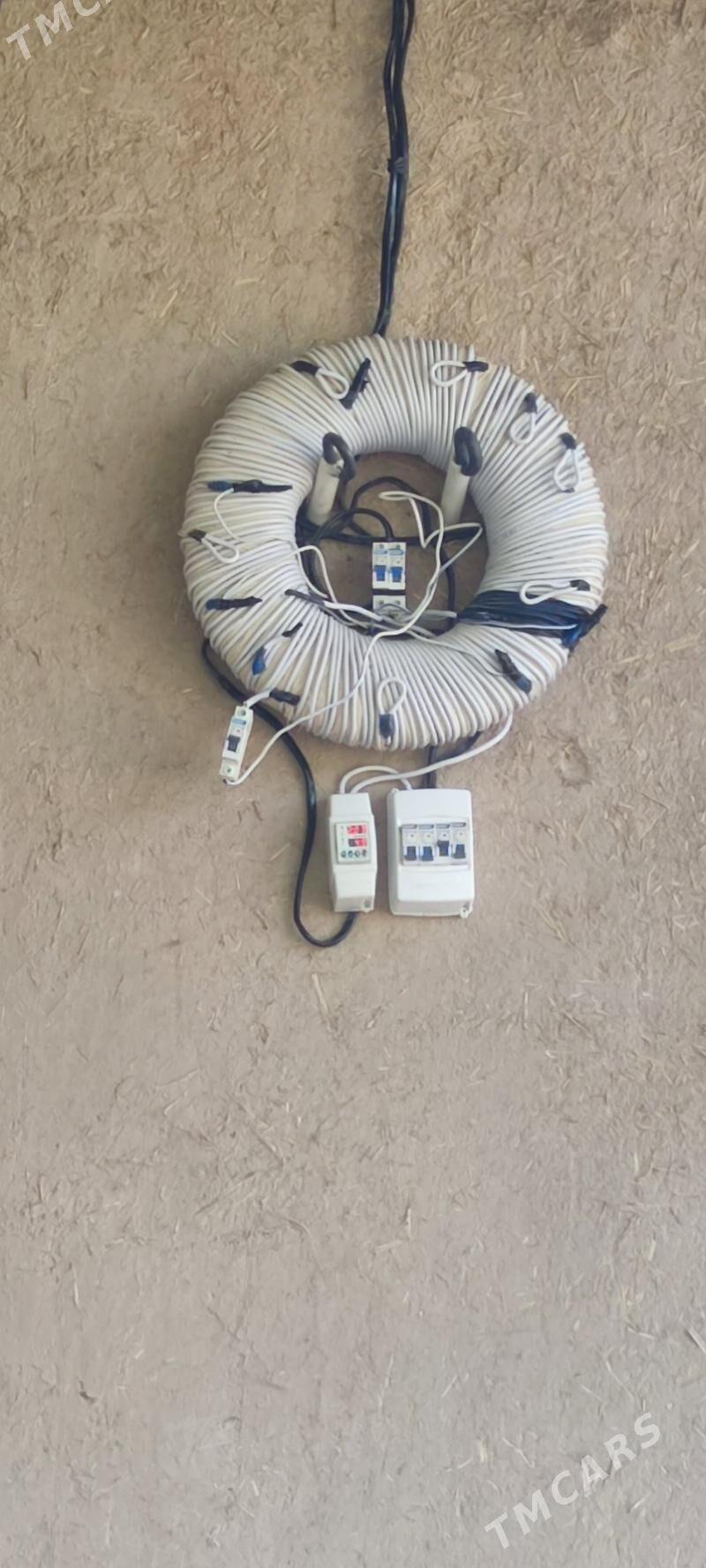 tok kopeltyan - Gurbansoltan Eje - img 2