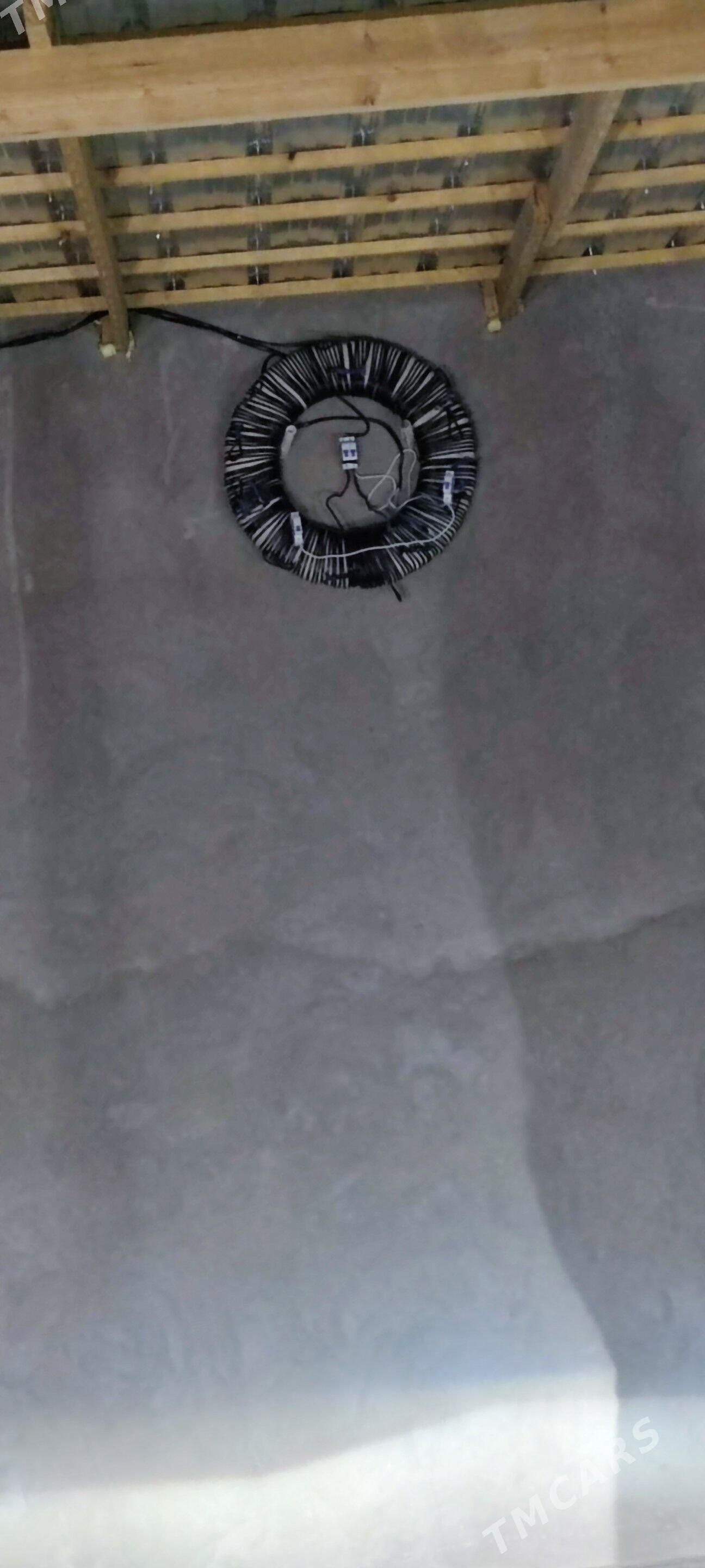 tok kopeltyan - Gurbansoltan Eje - img 3