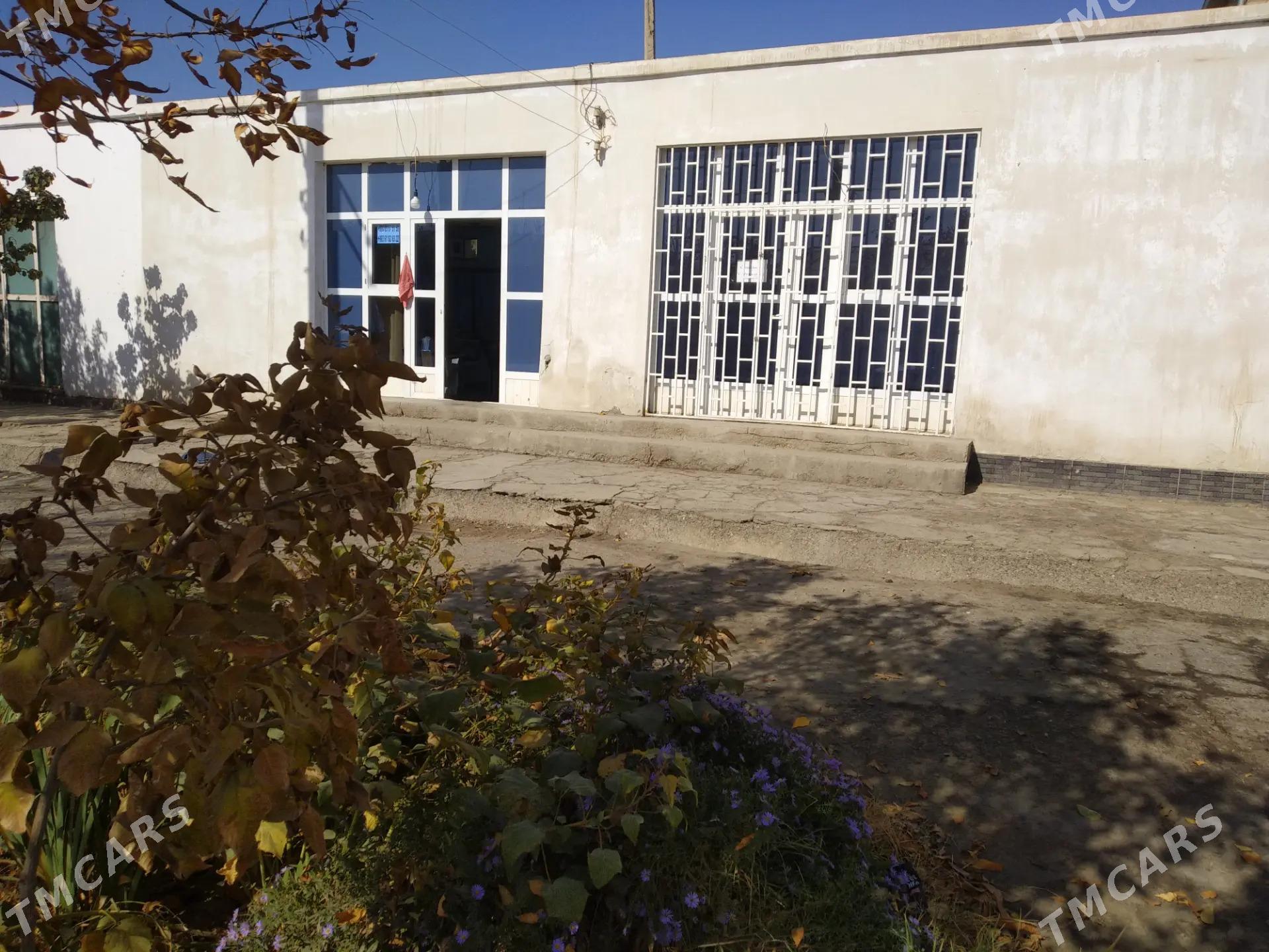 arenda magazin dostluk metjidi - Daşoguz - img 2