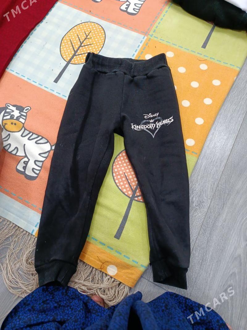 caga esijikler - Ашхабад - img 10