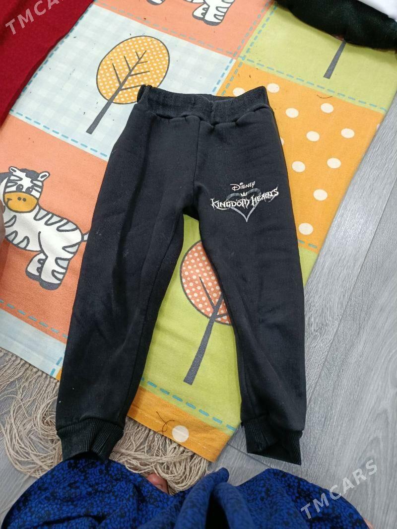 caga esijikler - Ашхабад - img 9