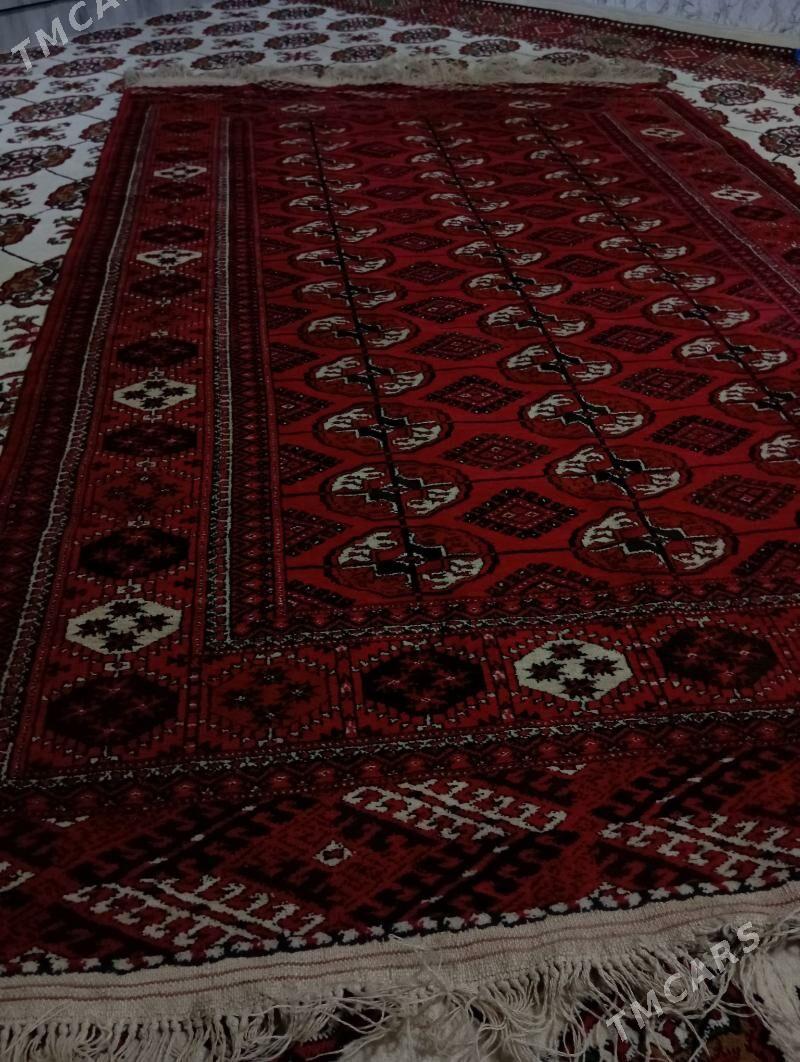 Turkmen Haly - Мары - img 2