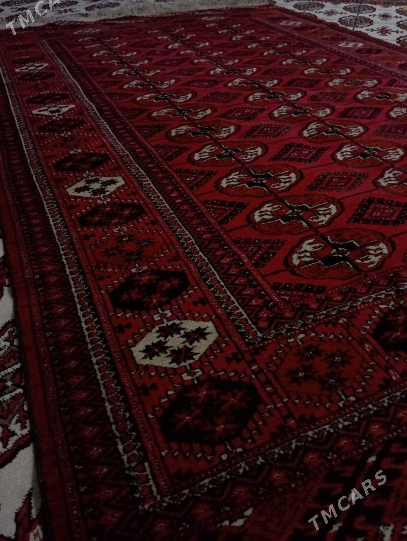 Turkmen Haly - Мары - img 5