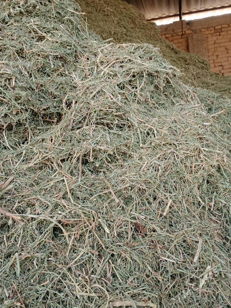 Ŭwelen ÿandak - Çoganly - img 2