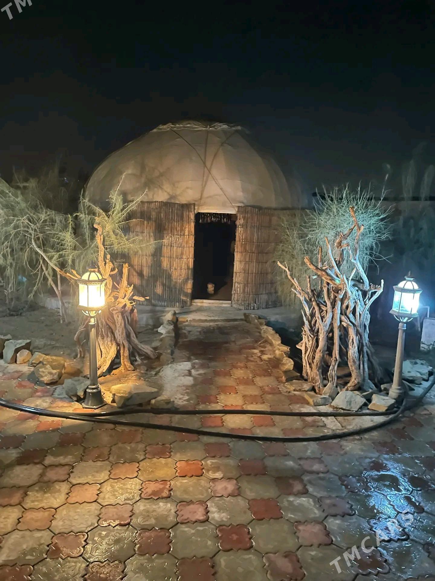 Daca - Анев - img 4