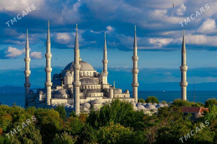  Turkiya'da Okuw  - Mary - img 4