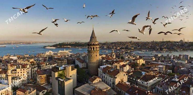  Turkiya'da Okuw  - Mary - img 7