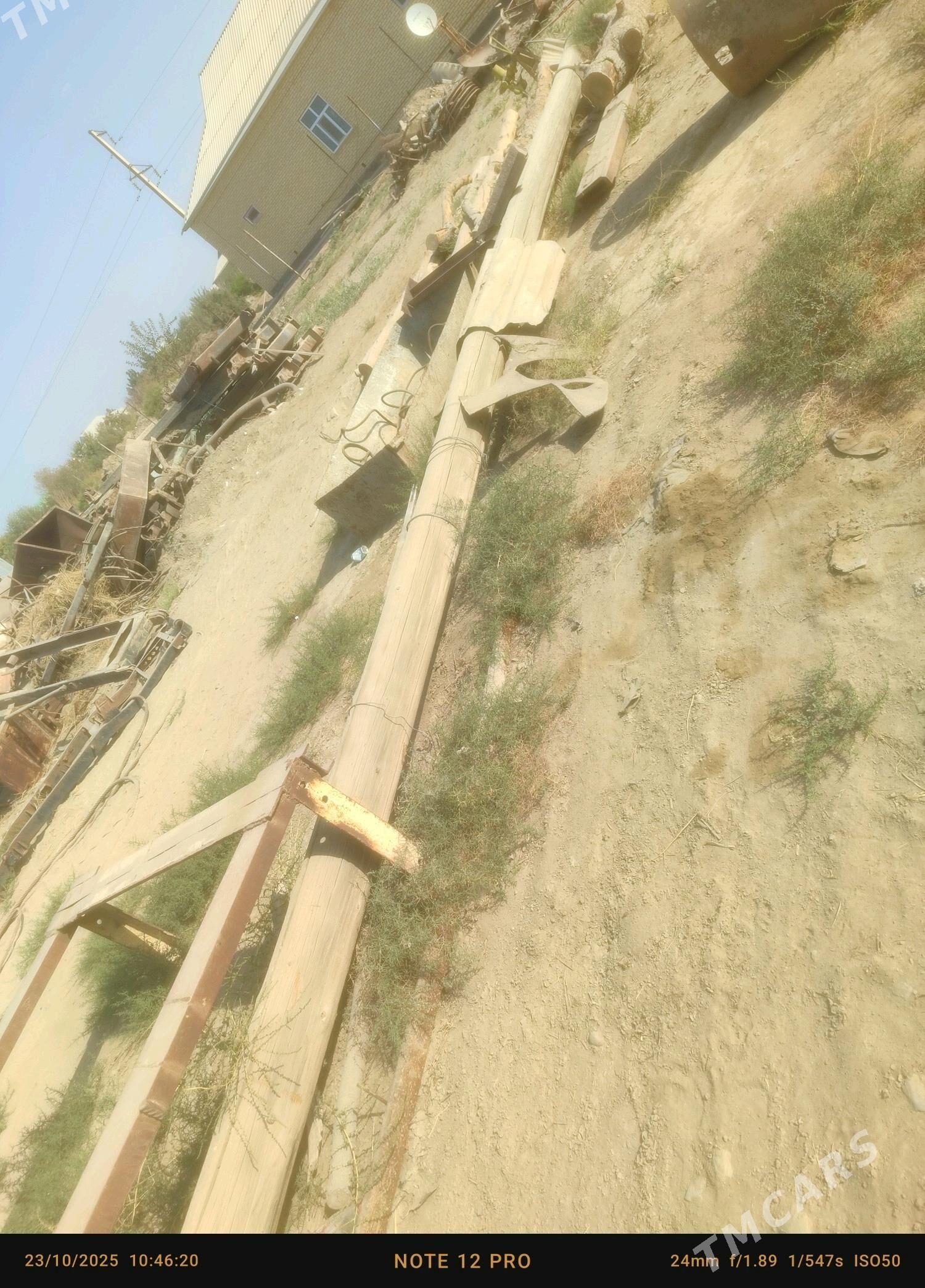 stalba naw - Sakarçäge - img 2