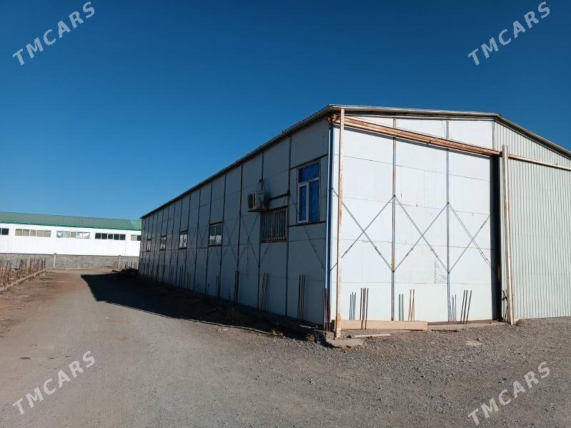 AMBAR - Ашхабад - img 4