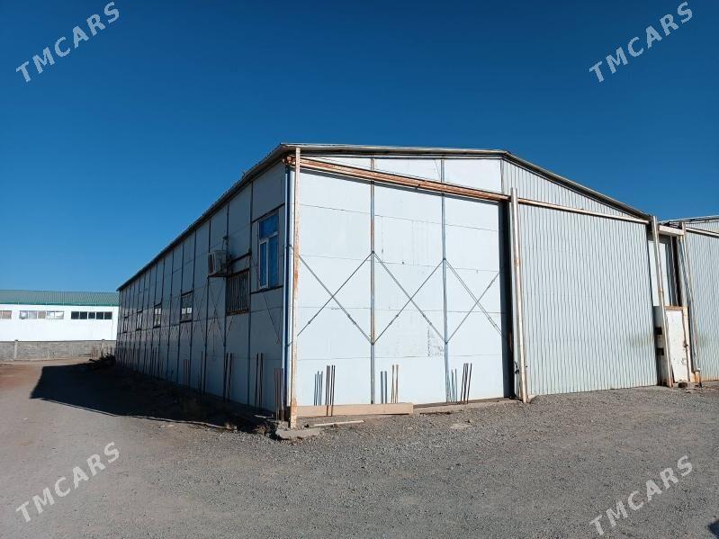 AMBAR - Ашхабад - img 2