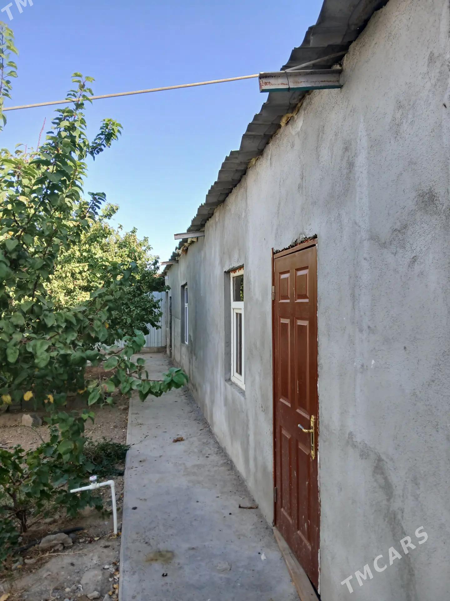 Taze zaman 8 sot kateź - Тязе заман - img 4