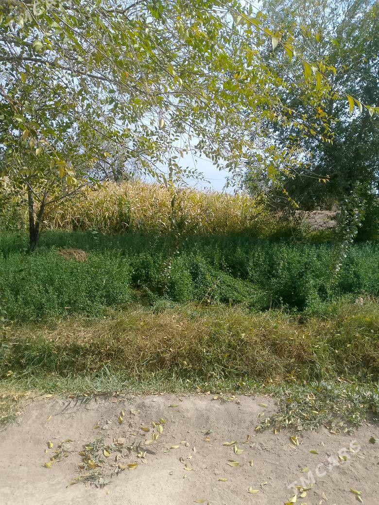 Jay - Губадаг - img 5