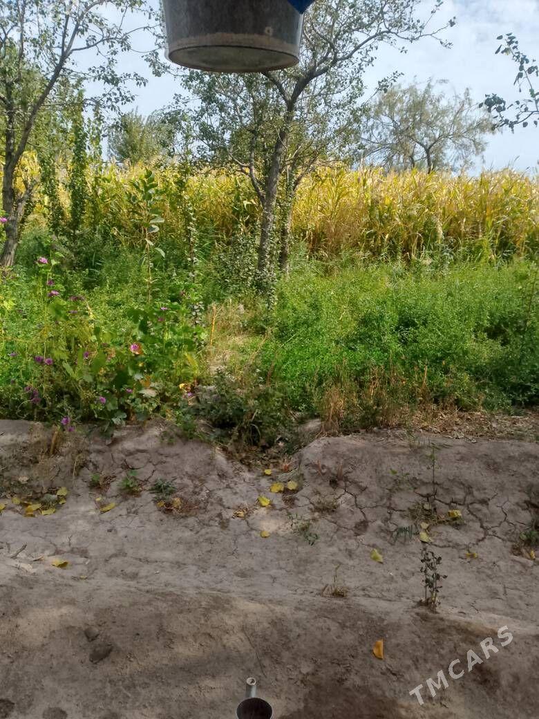 Jay - Губадаг - img 10