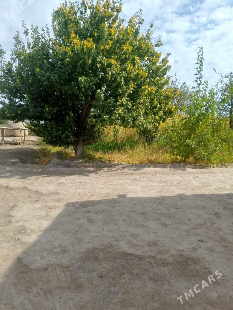 Jay - Губадаг - img 6