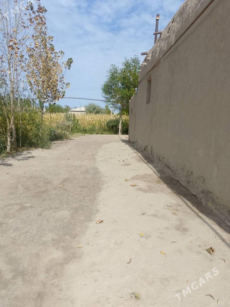 Jay - Губадаг - img 4