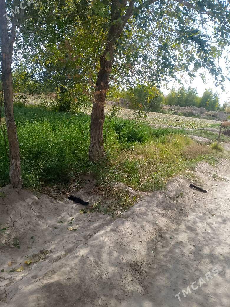 Jay - Губадаг - img 8