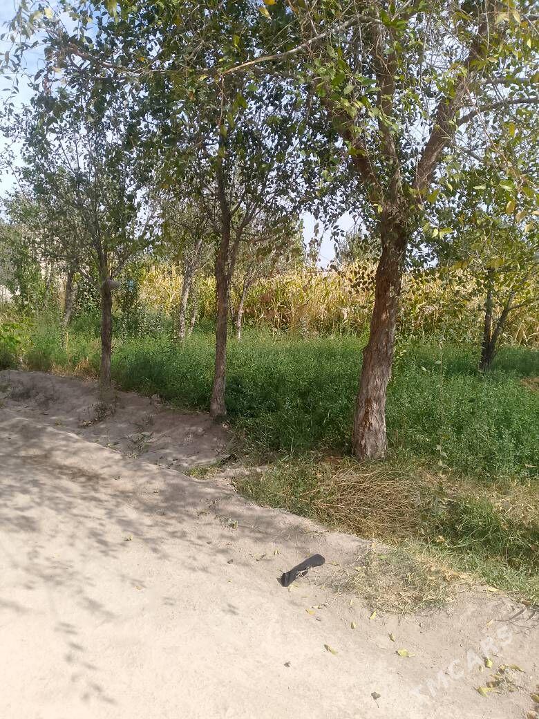 Jay - Губадаг - img 9