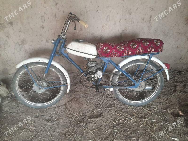 welseped mator - Gurbansoltan Eje - img 2