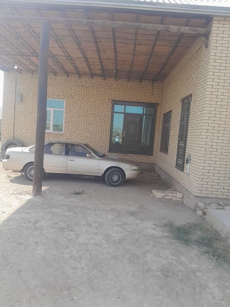 satlyk jay - Сакарчага - img 3