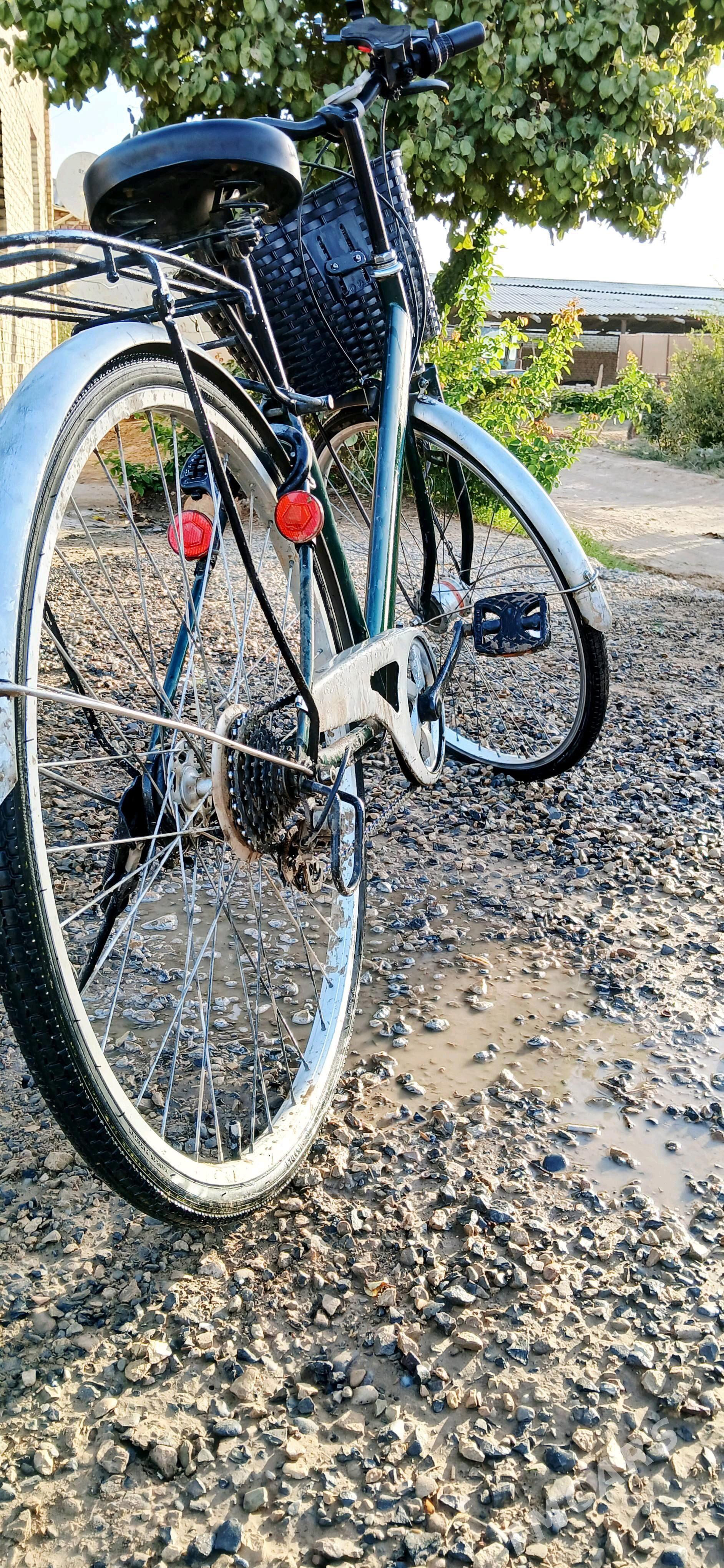 weliseped - Mary - img 3