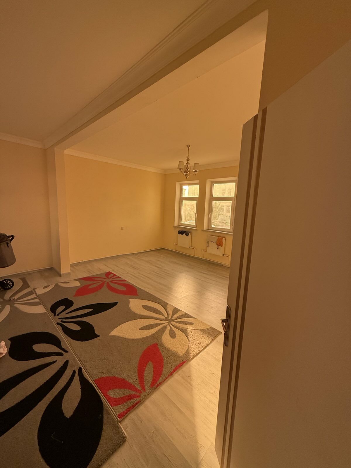 coganly arkac kotej jay - Ашхабад - img 2