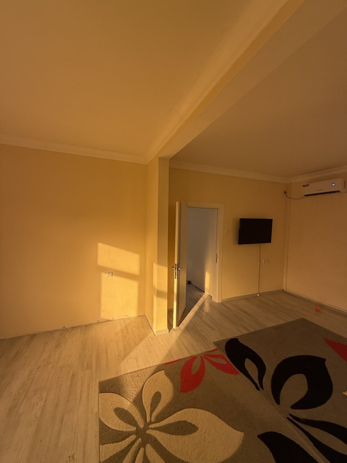 coganly arkac kotej jay - Ашхабад - img 5