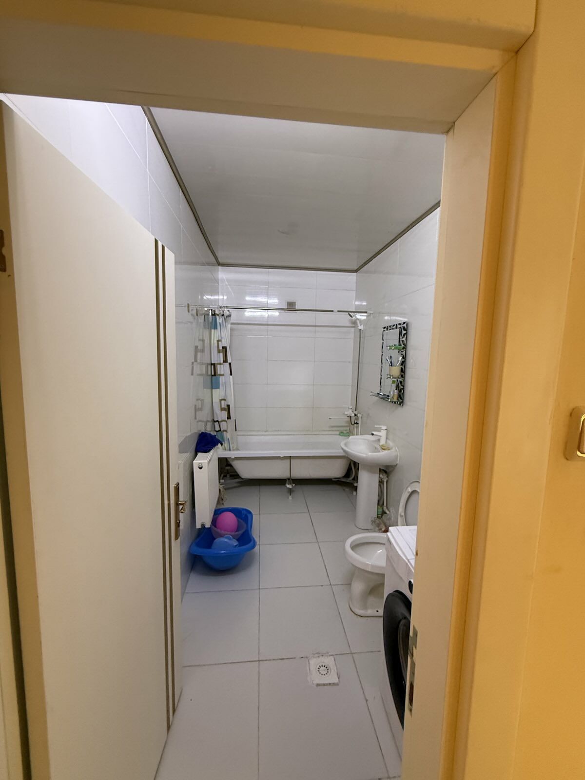 coganly arkac kotej jay - Ашхабад - img 3