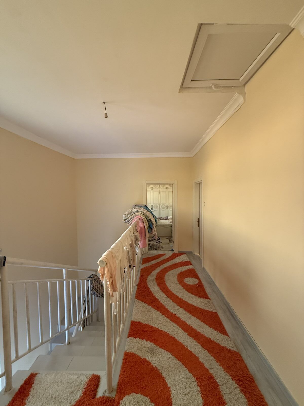 coganly arkac kotej jay - Ашхабад - img 6