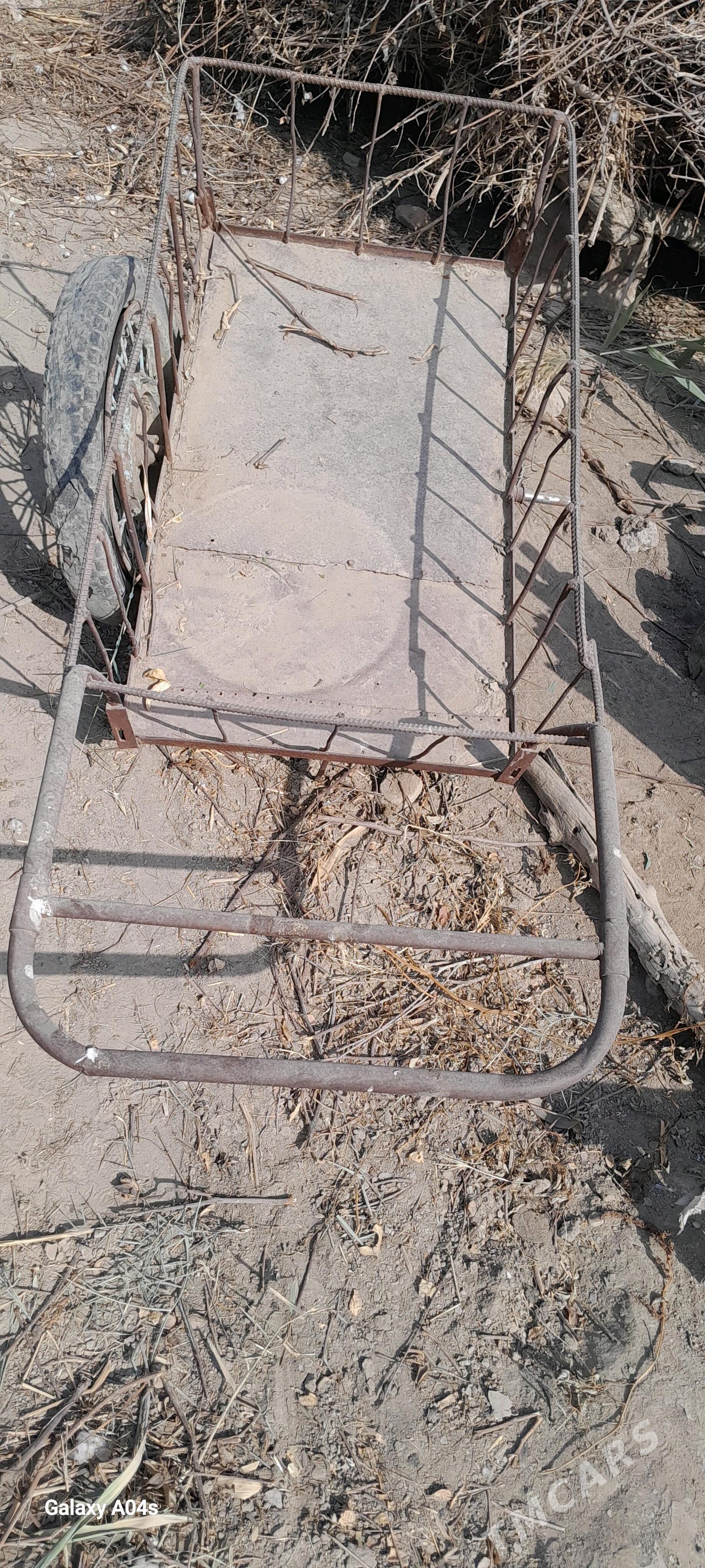 Galtak taçga - Туркменгала - img 2