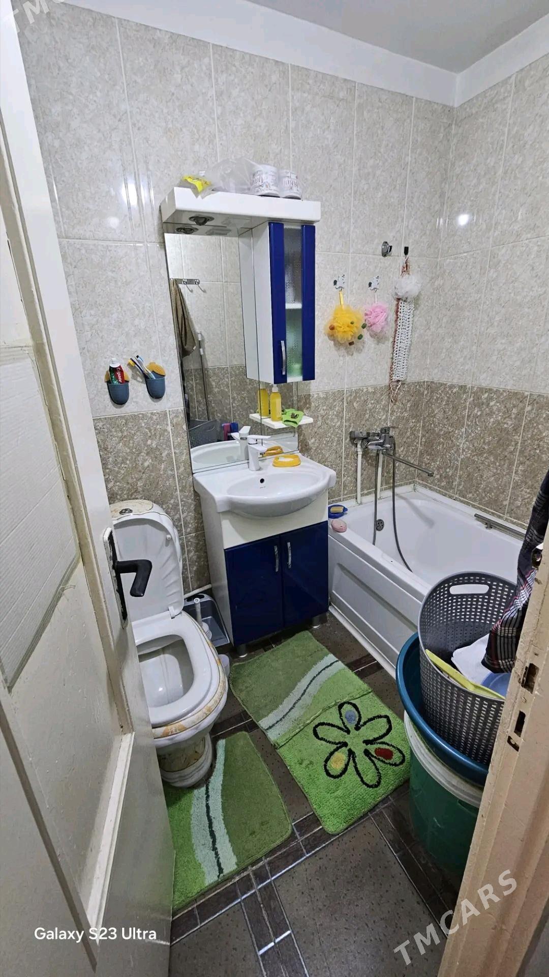 Satlyk jaylar - Мары - img 9