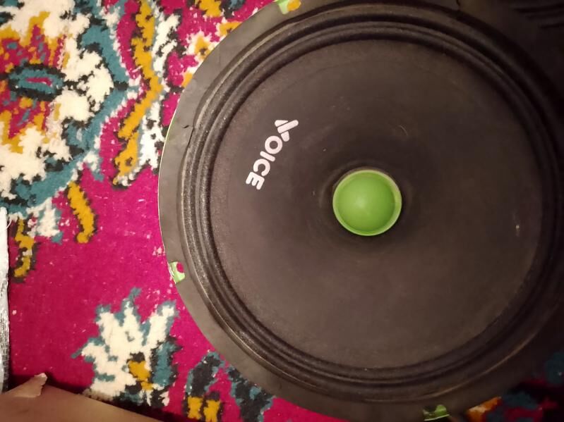 voise kalonka 1 000 TMT - Daşoguz - img 4