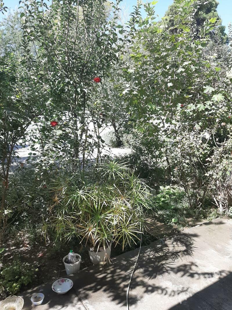 Baýramhan(Репина) eýesi. - 1 мкр - img 2