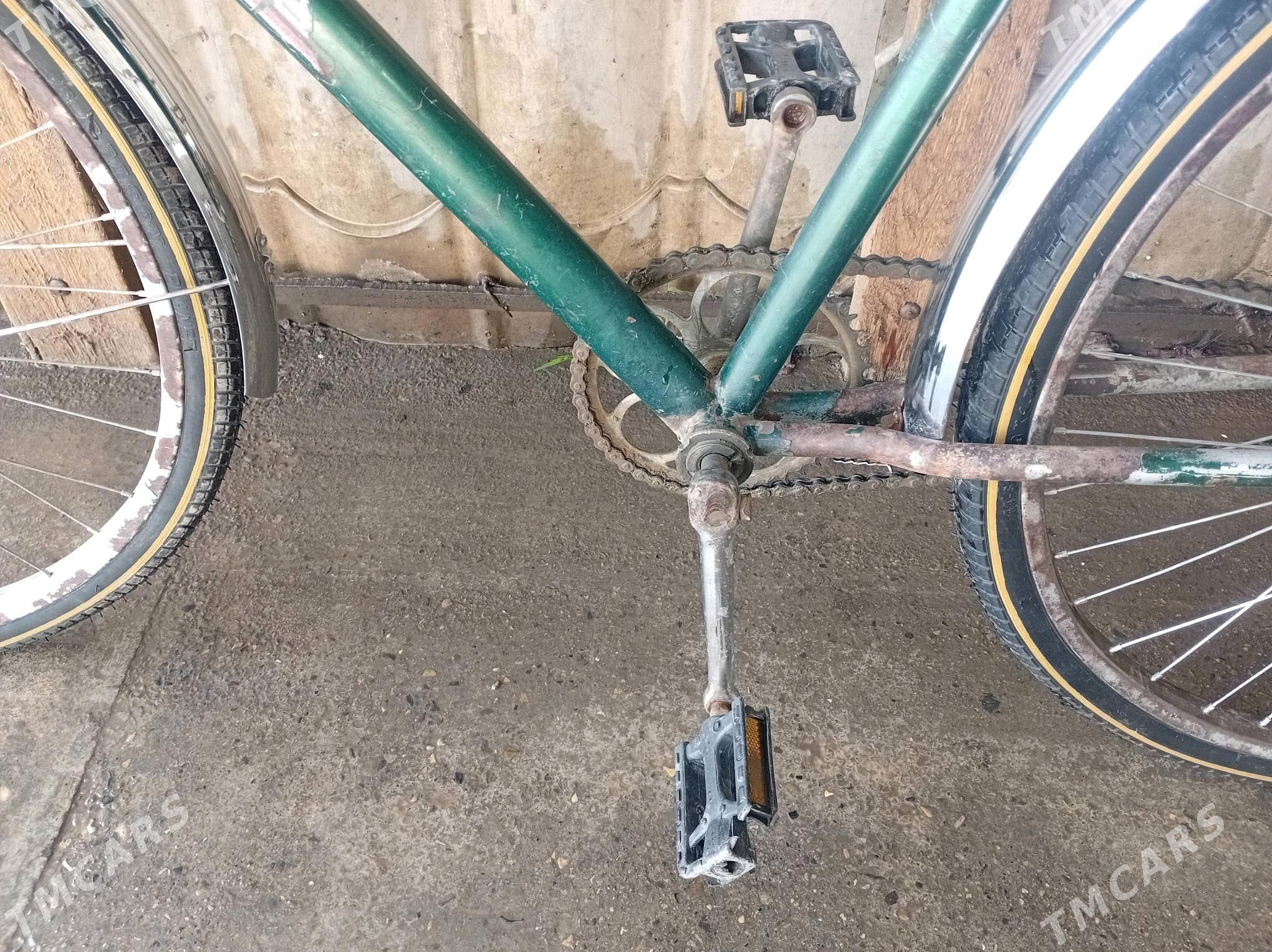 Desna 28lk 5 yuzlik - Mary - img 4