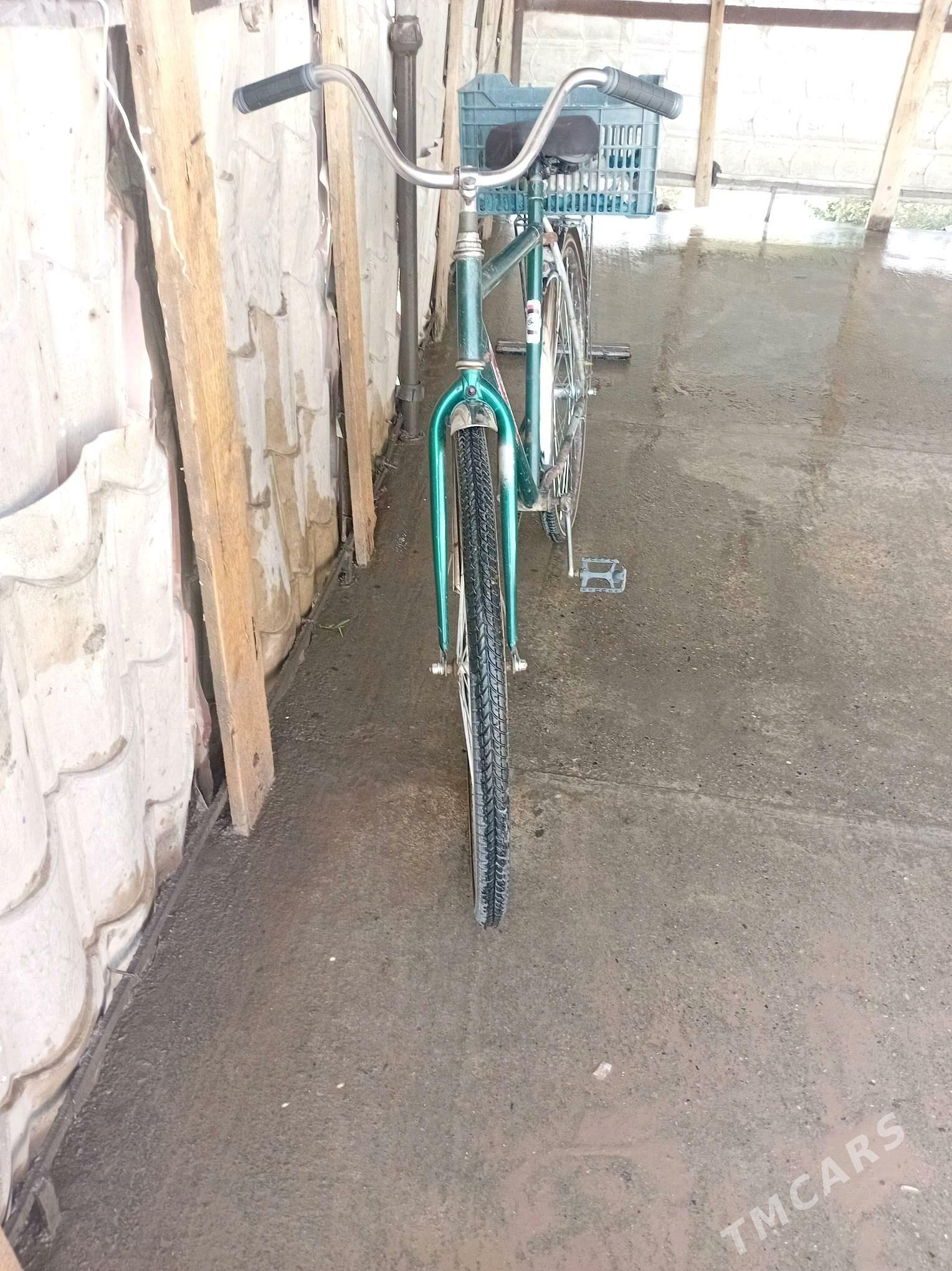 Desna 28lk 5 yuzlik - Mary - img 3