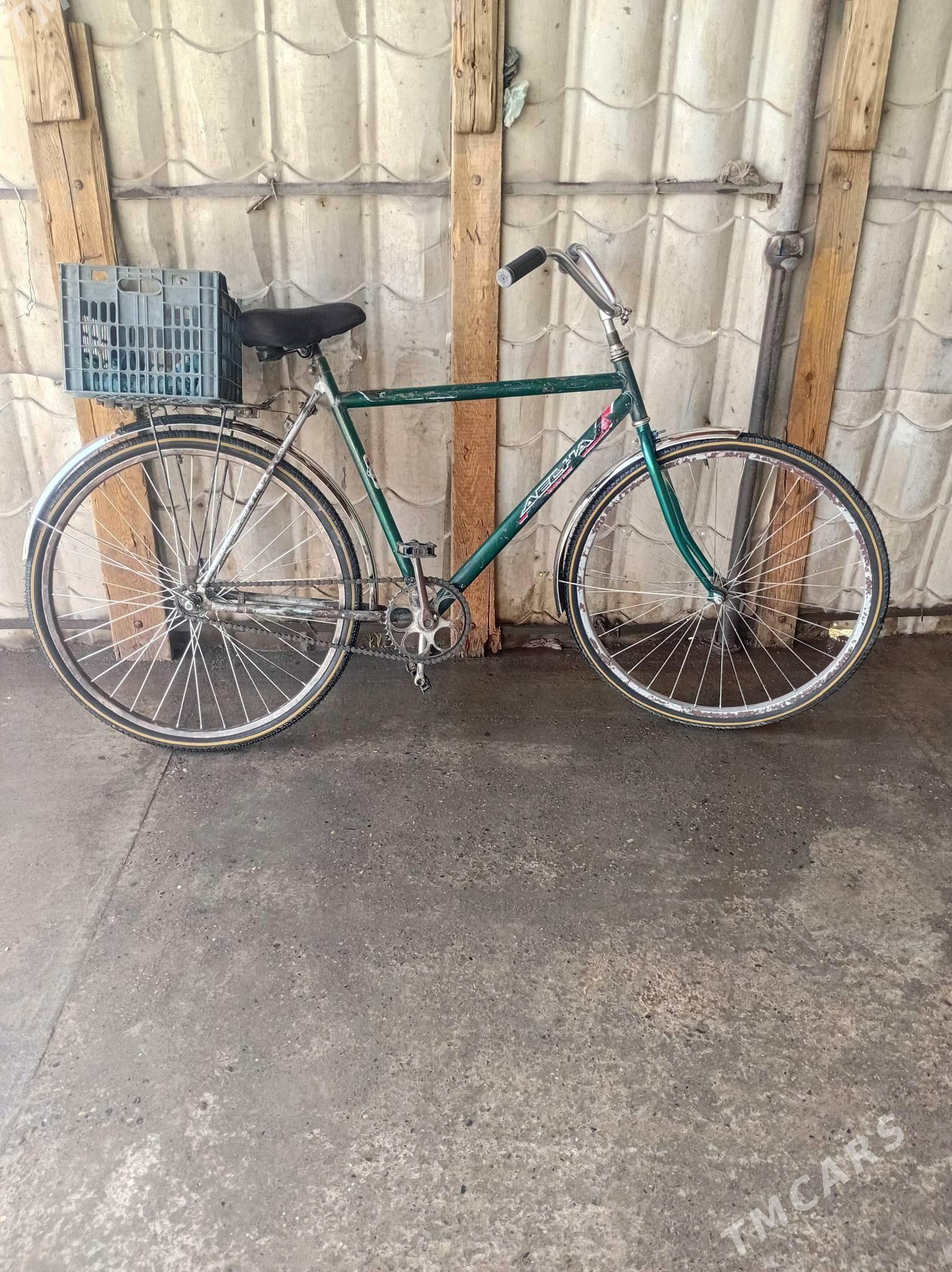 Desna 28lk 5 yuzlik - Mary - img 2