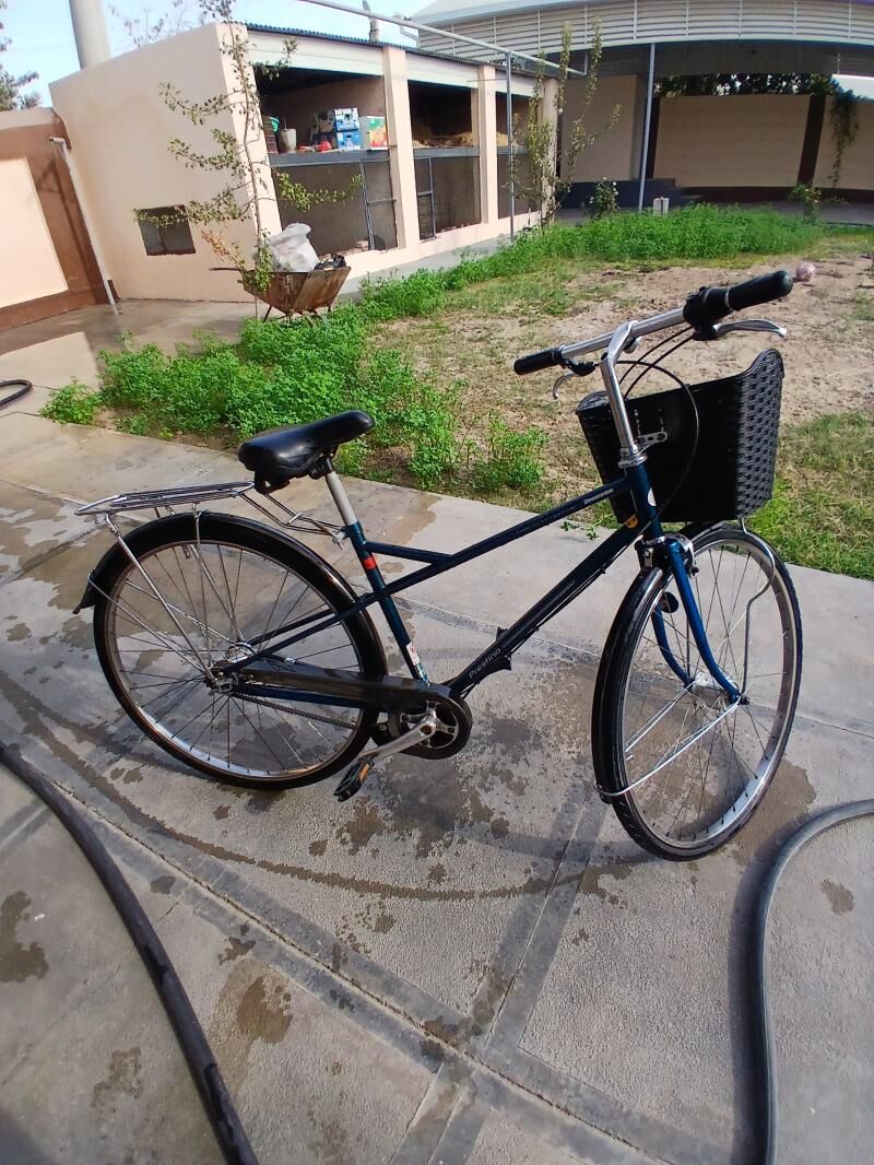 27lik tiger - Мары - img 5